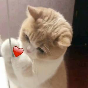 新婚夜被C翻云覆雨H
