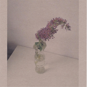 新婚夜被C翻云覆雨H
